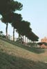 Circo Massimo