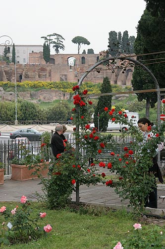 Foto fra Roseto di Roma: udsigt til Palatin