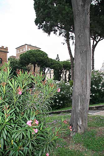 Piazza d'Aracoeli. Foto copyright Leif Larsson